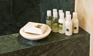 thumbnail: Bathroom amenities