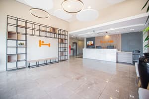 thumbnail: Reception