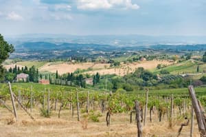 thumbnail: General view