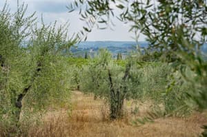 thumbnail: General view