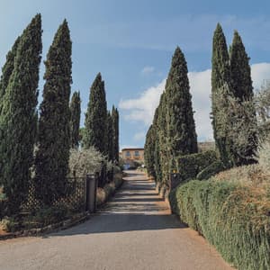 thumbnail: General view