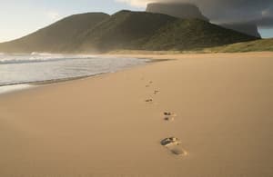 thumbnail: Beach