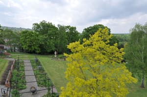 thumbnail: View from room