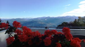 thumbnail: View from room