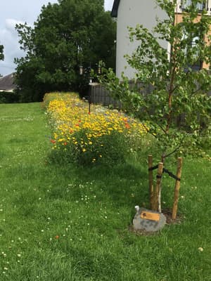 thumbnail: Garden