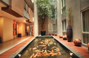 thumbnail: Interior