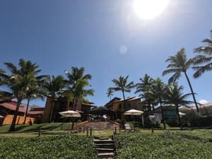 thumbnail: General view