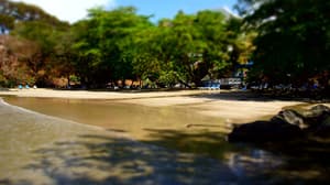 thumbnail: Beach