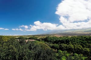 thumbnail: View from room