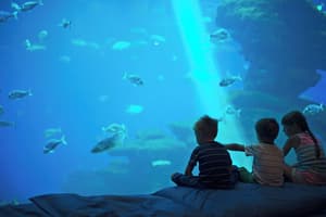 thumbnail: Children's activities