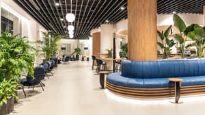 thumbnail: Reception