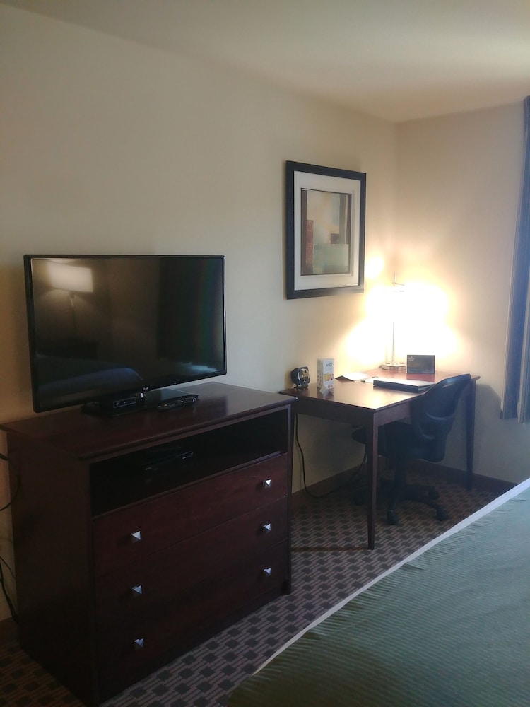 Television