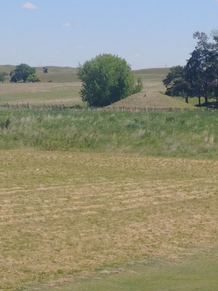 Hill view