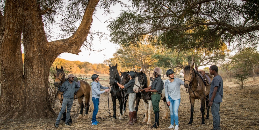 Horseback riding