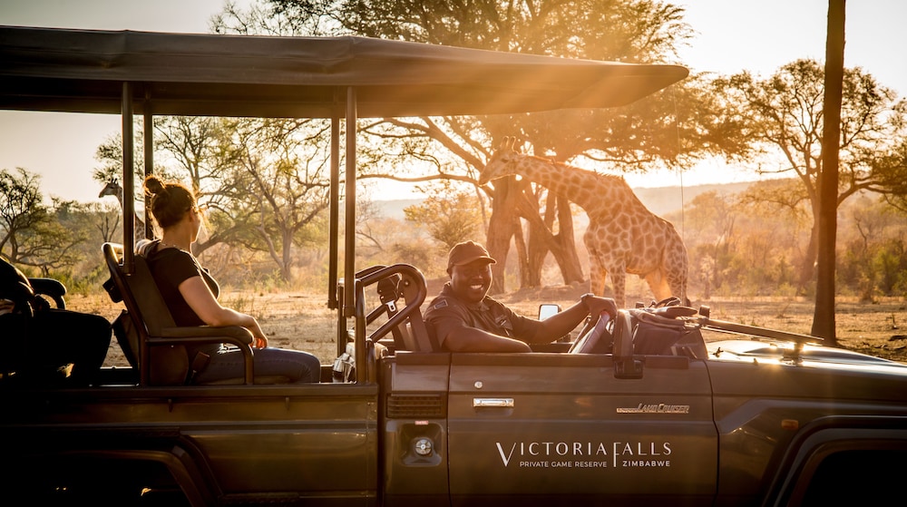Game drive