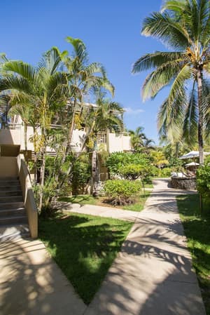 thumbnail: Garden view