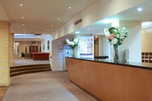 thumbnail: Reception
