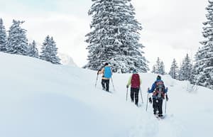 thumbnail: Snowshoeing