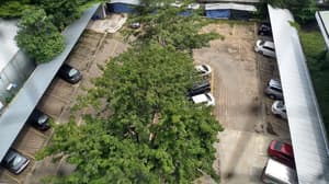 thumbnail: Parking
