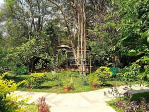 thumbnail: Garden