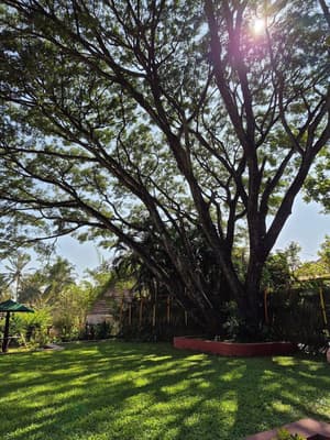 thumbnail: Garden