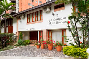 thumbnail: General view