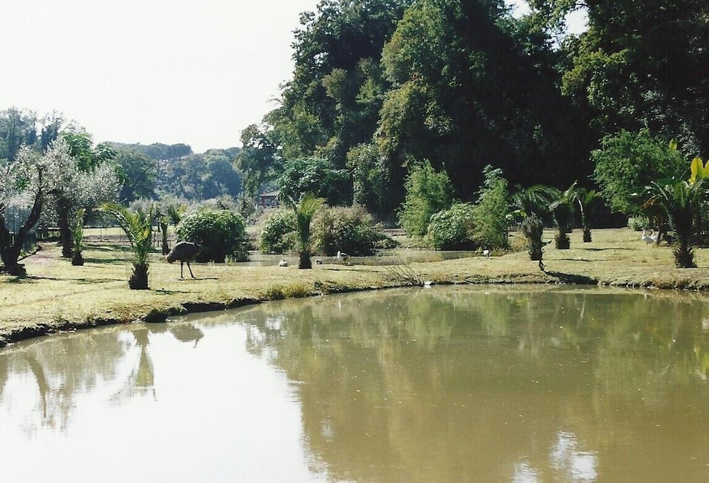 Lake