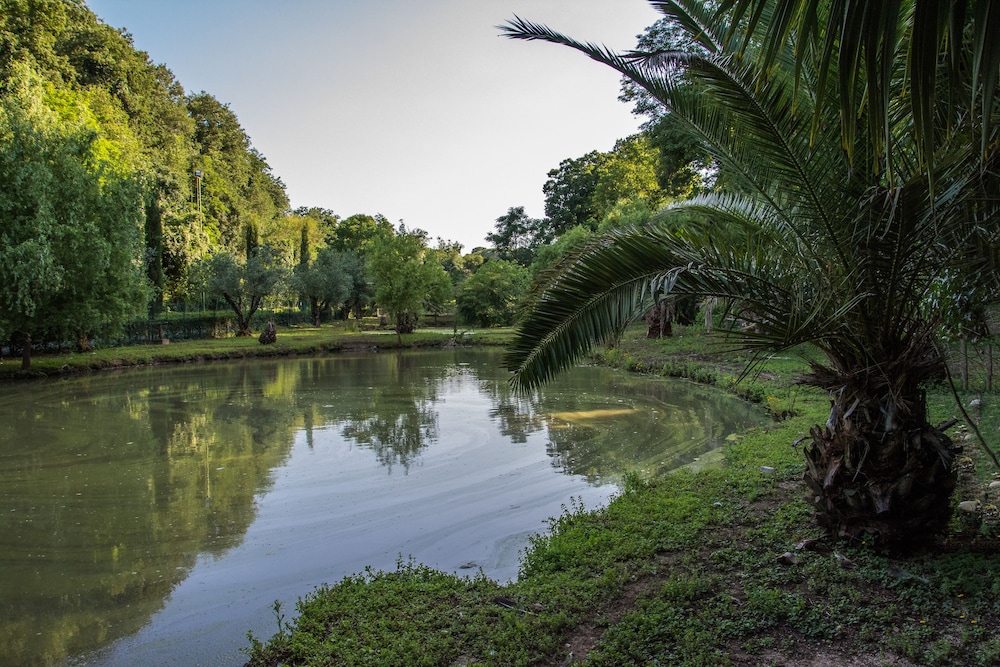 Lake
