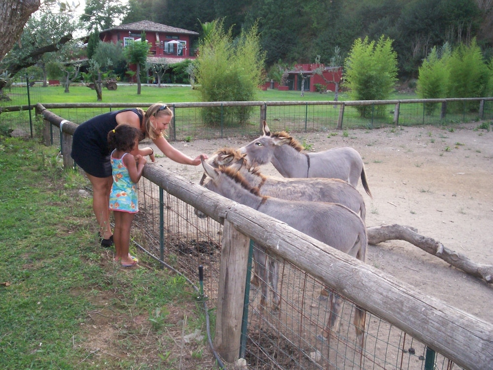 Ecotours