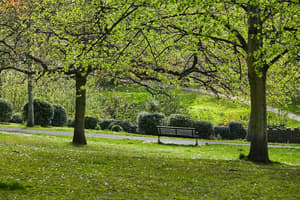 thumbnail: Land view from property