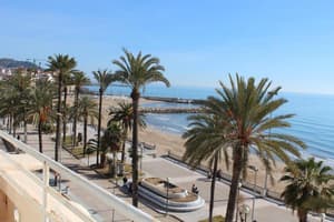 thumbnail: General view
