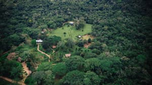 thumbnail: Garden