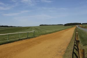thumbnail: Sports facility