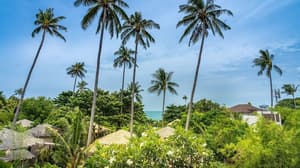 thumbnail: Garden view