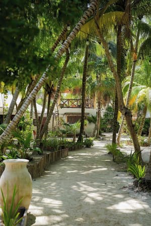Zomay Beachfront Hotel Holbox