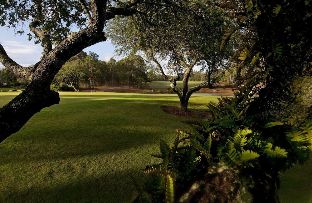 Outdoor wedding area