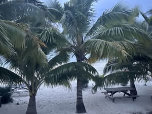 thumbnail: Exterior