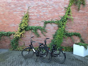 thumbnail: Bicycling