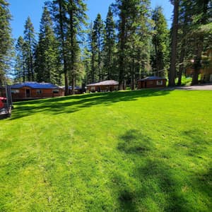 thumbnail: Property grounds