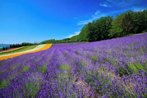 thumbnail: Land view from property