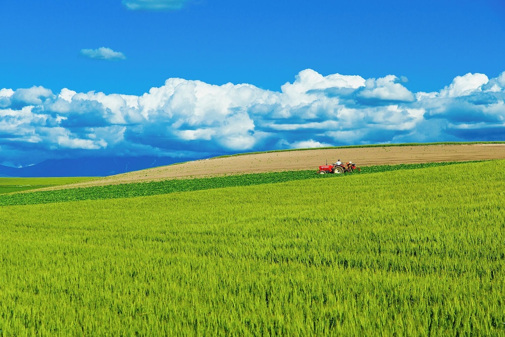Land view from property