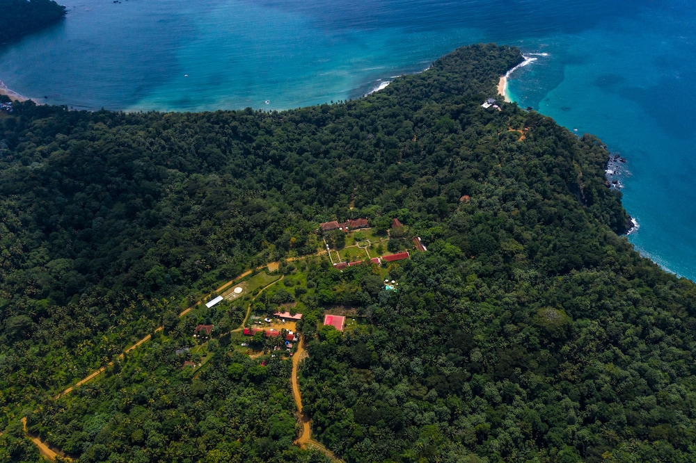 Helicopter/plane tours