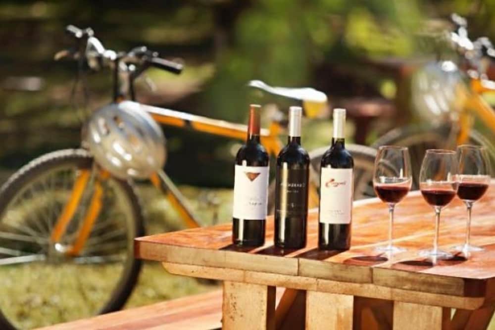 Vineyard
