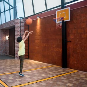 thumbnail: Basketball court