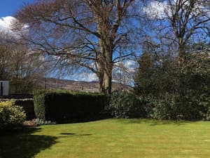 thumbnail: Garden