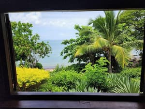 thumbnail: View from property