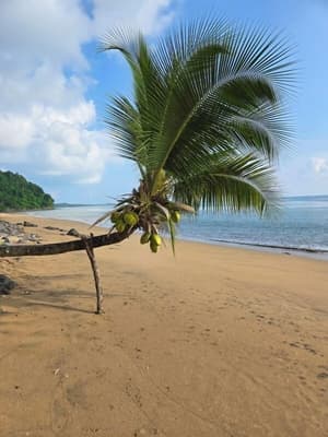 thumbnail: Beach