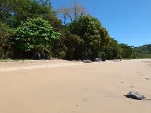 thumbnail: Beach