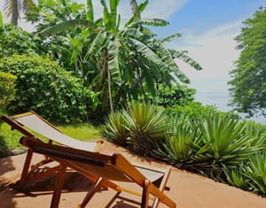 thumbnail: Terrace/patio