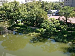 thumbnail: View from property
